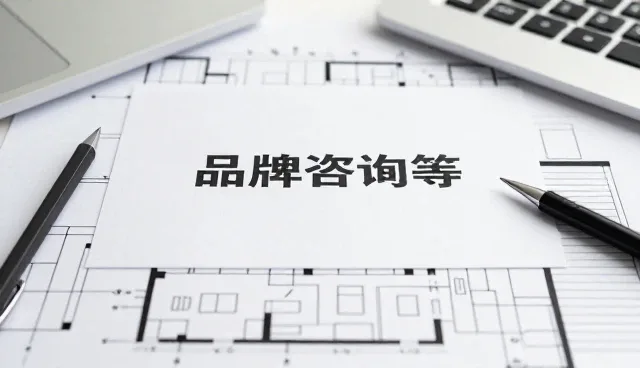 管理咨询满足复杂环境应用需求